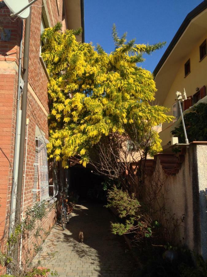 דירות וירג'יו Casa Mimosa מראה חיצוני תמונה